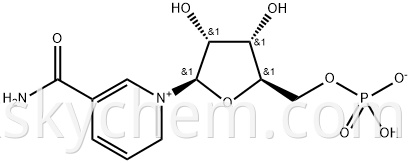 β-nicotinamide mononucleotide Cas No. 1094-61-7